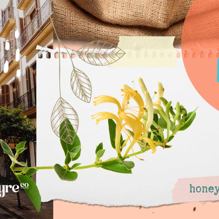 honeysuckle essential oil; benefits of essential oil; uses of honeysuckle; skincare; stress relief; home cleaning tips; gift ideas; gift singapore