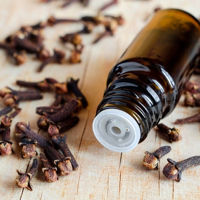 clove essential oil