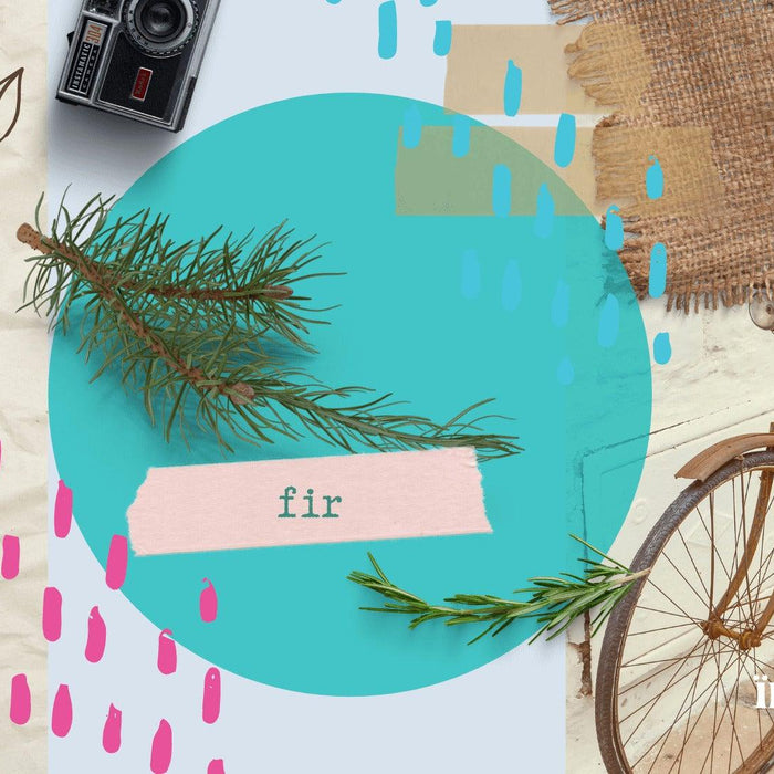 Fir Essential Oil; siberian fir; essential oil; uses; benefits of essential oil; gift ideas; gift singapore