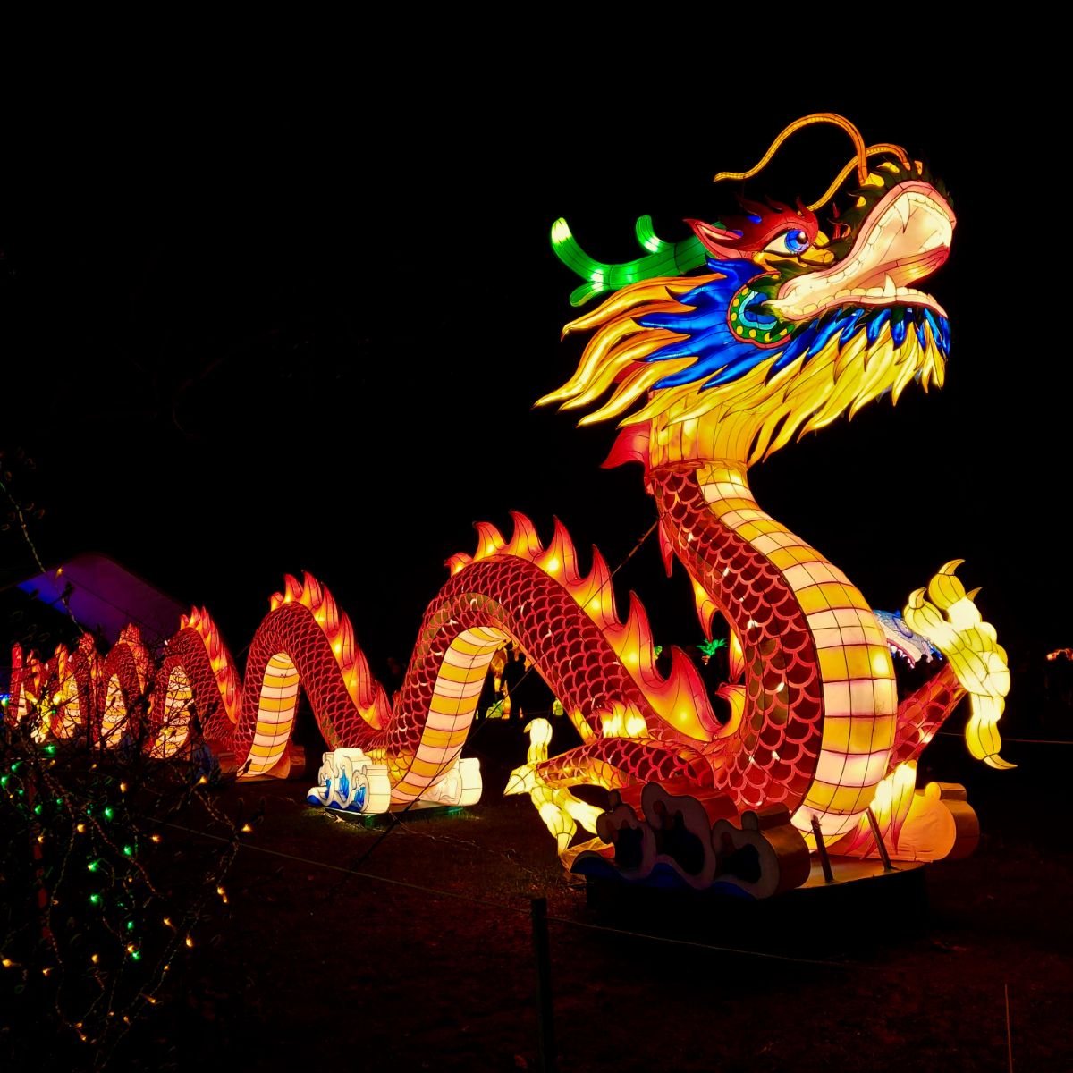 Celebrate Chinese New Year with Innerfyre Co