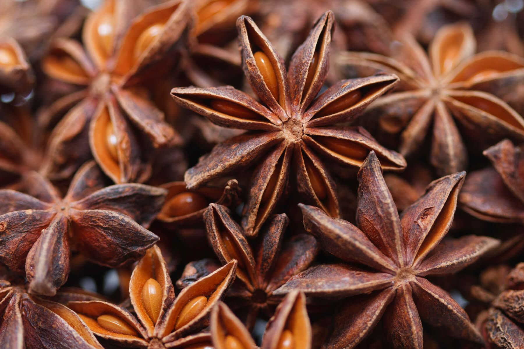 Star Anise Essential Oil