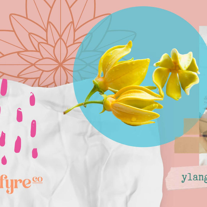 Ylang-Ylang Essential Oil