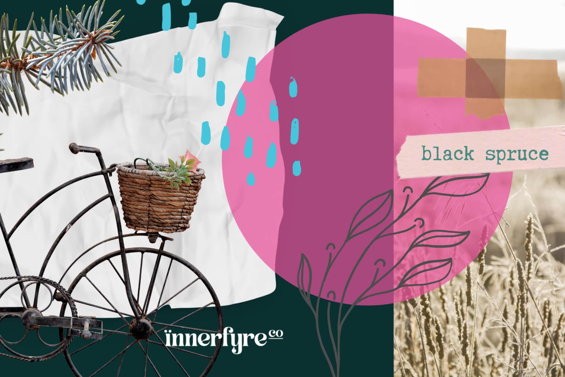 innerfyre co; black spruce essential oil; benefits of essential oil; uses of black spruce; pine trees; christmas pine; gift idea; gift singapore