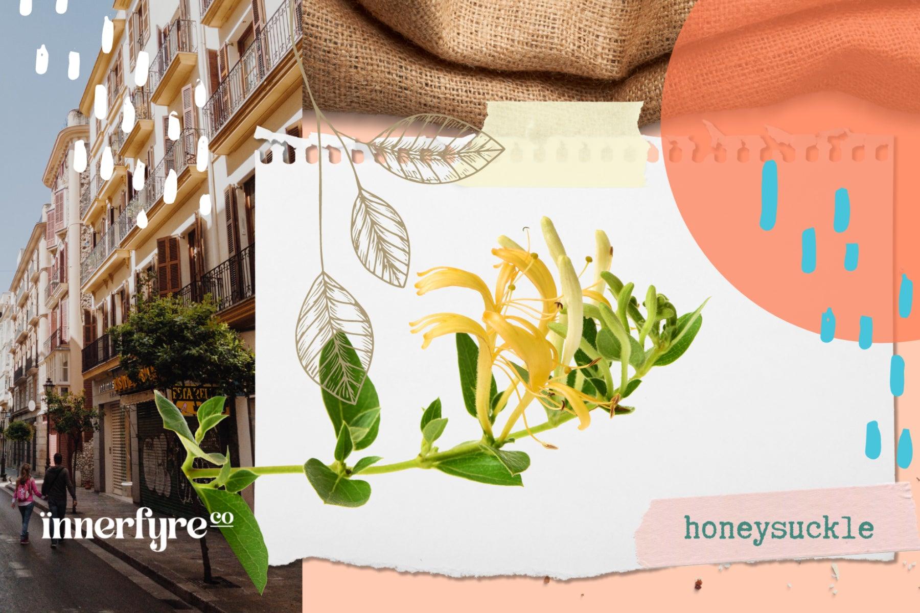 honeysuckle essential oil; benefits of essential oil; uses of honeysuckle; skincare; stress relief; home cleaning tips; gift ideas; gift singapore