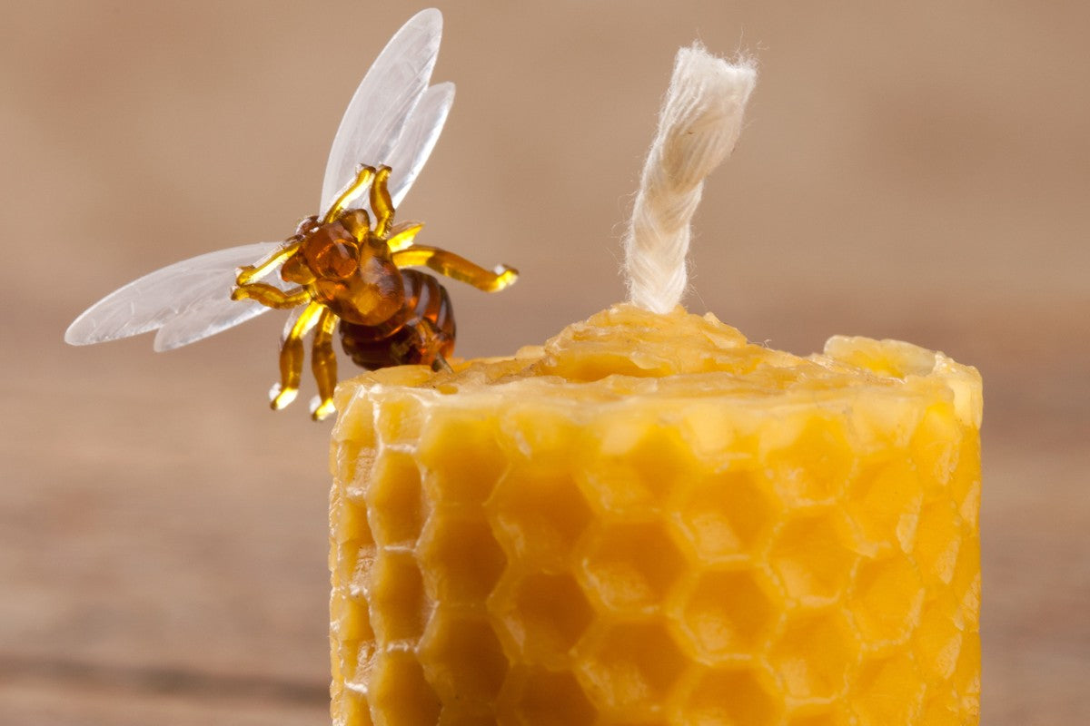Beeswax Candles