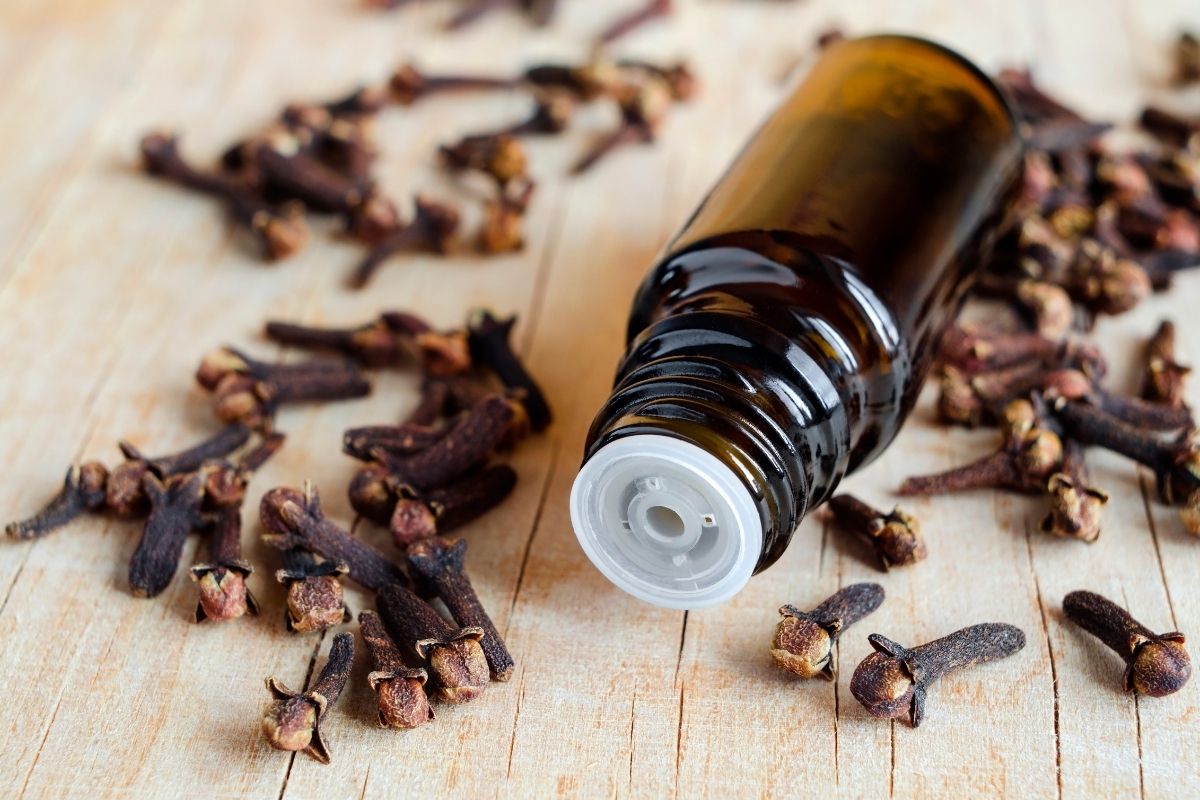 clove essential oil