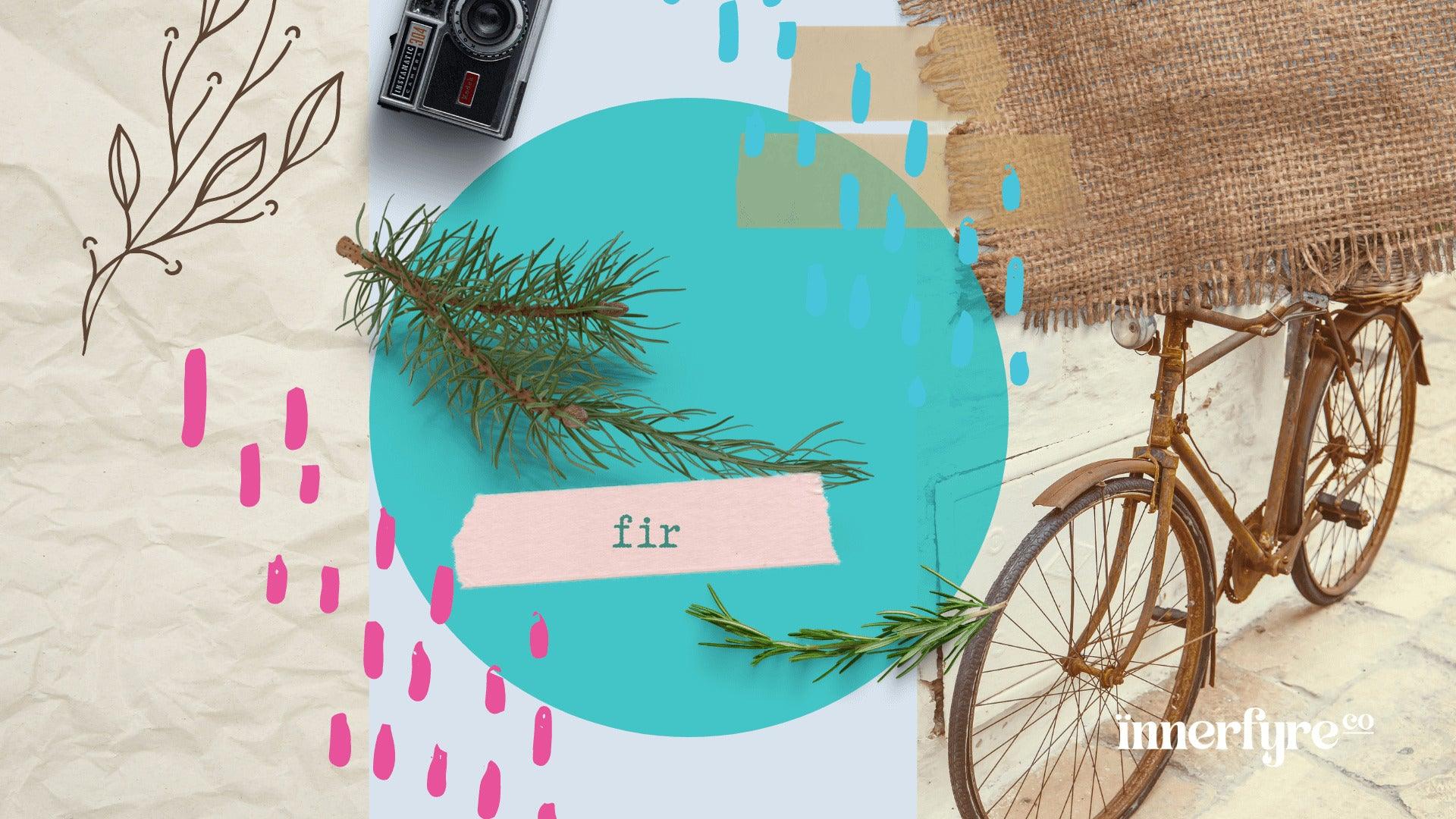 Fir Essential Oil; siberian fir; essential oil; uses; benefits of essential oil; gift ideas; gift singapore