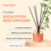 Energize - Eucalyptus Reed Diffuser