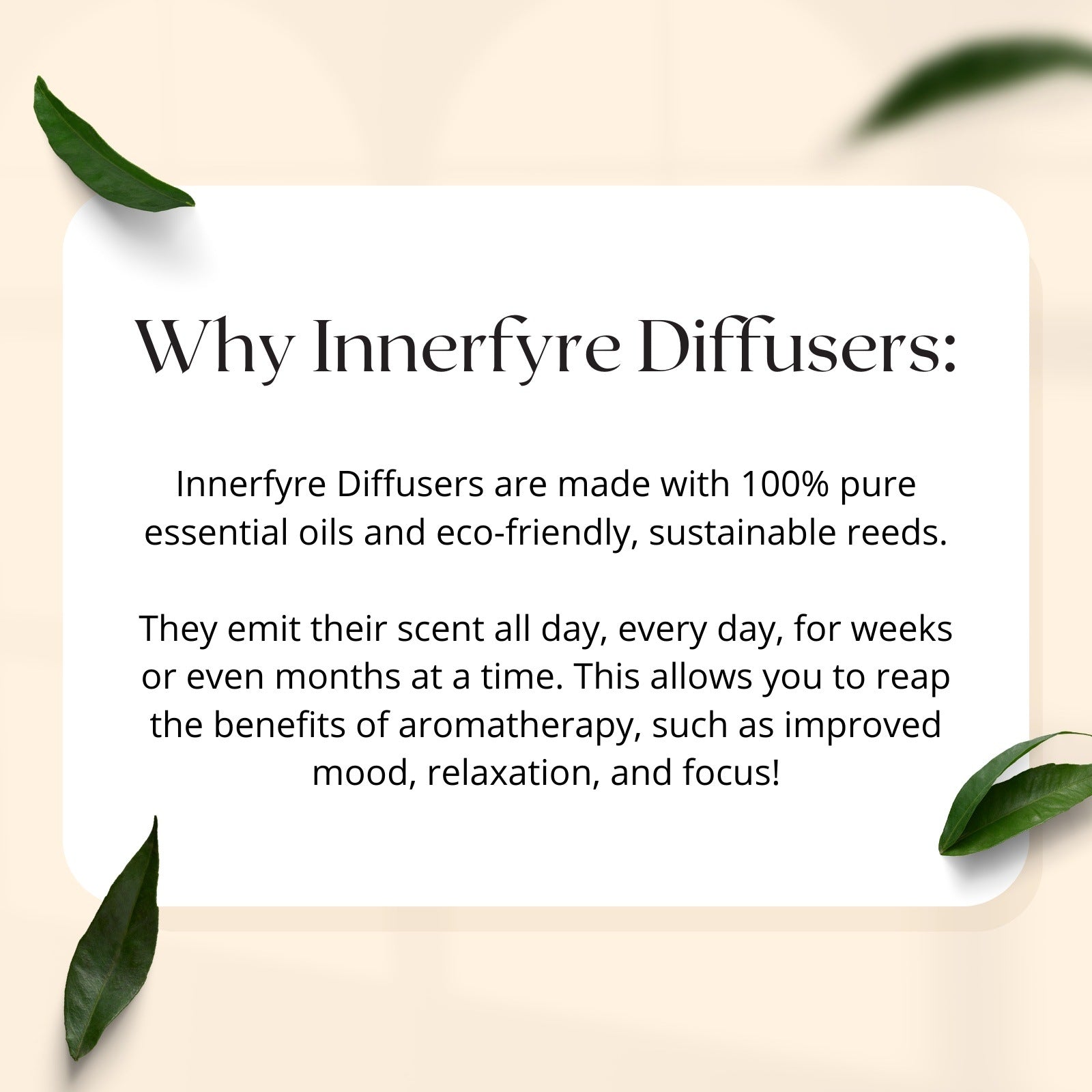 Reed Diffuser Benefit Infographic